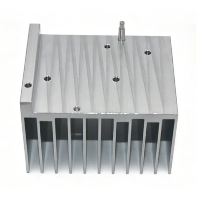 Radiator chipowy